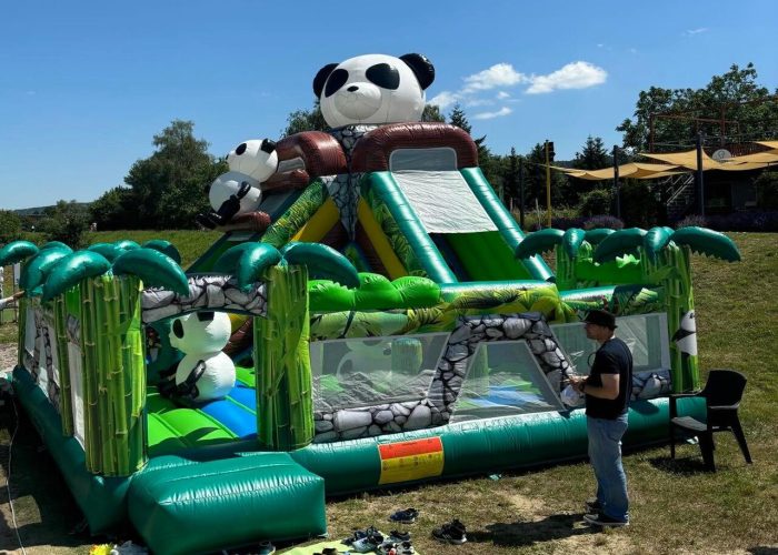 WhatsApp Image 2026-03-19 at 18.-2